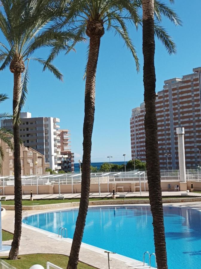 Almar Collection Cullera Bahia Park Lejlighed Eksteriør billede